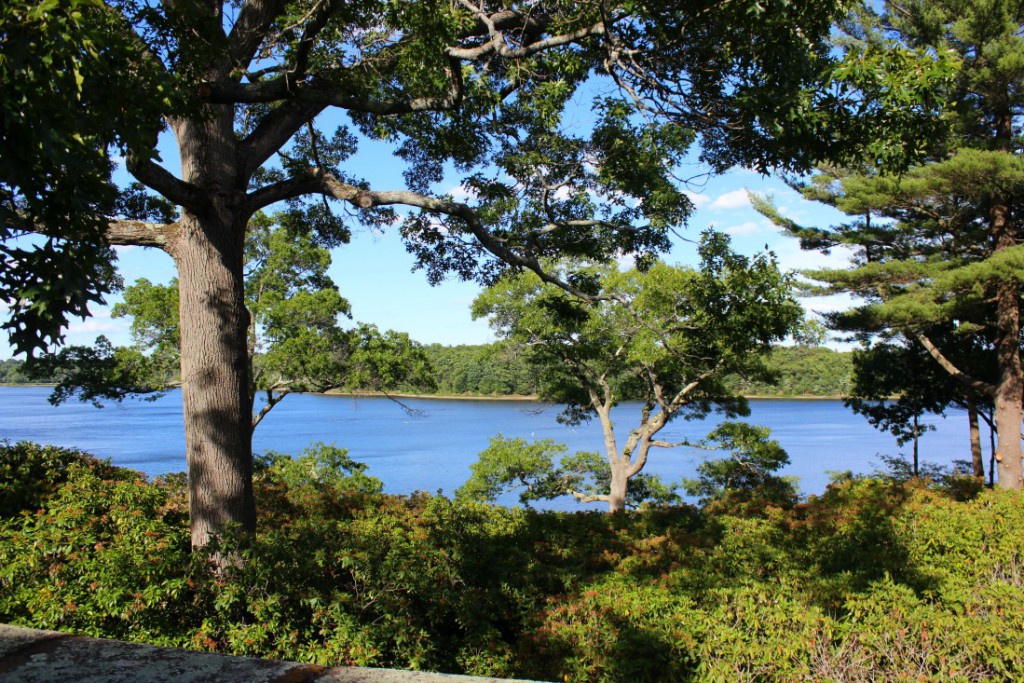 Wenham Lake in summer