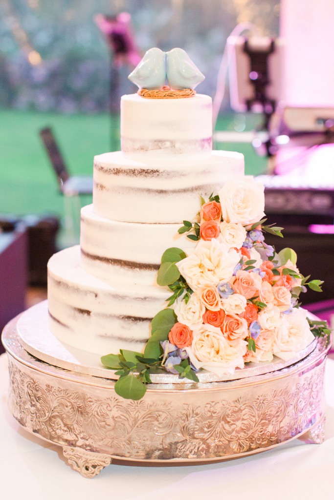 MF Cake 2